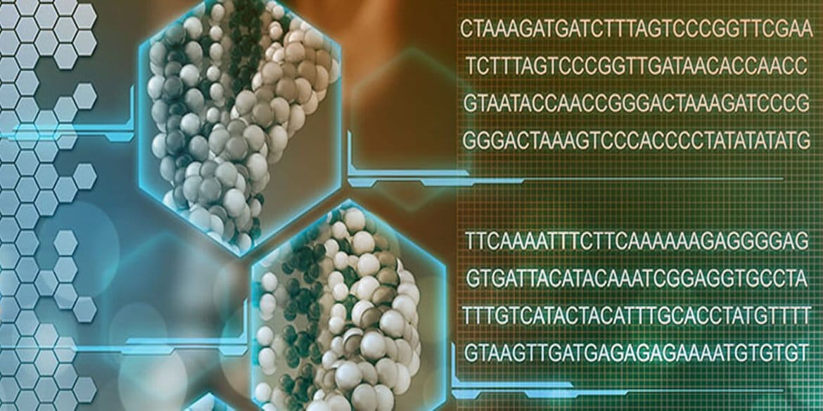 Internship Program in Computational Biology & Bioinformatics BioTech